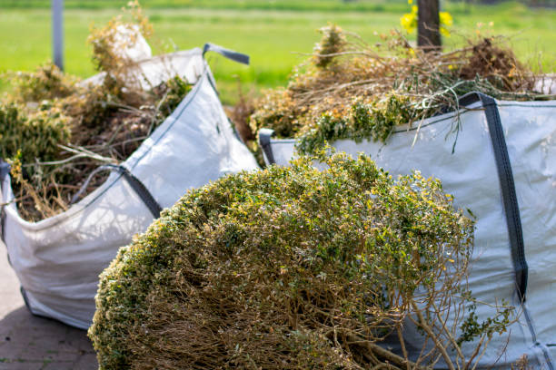 Best Yard Waste Removal  in Elkins Rk, PA