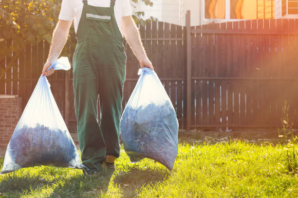 Best Junk Removal Near Me  in Elkins Rk, PA